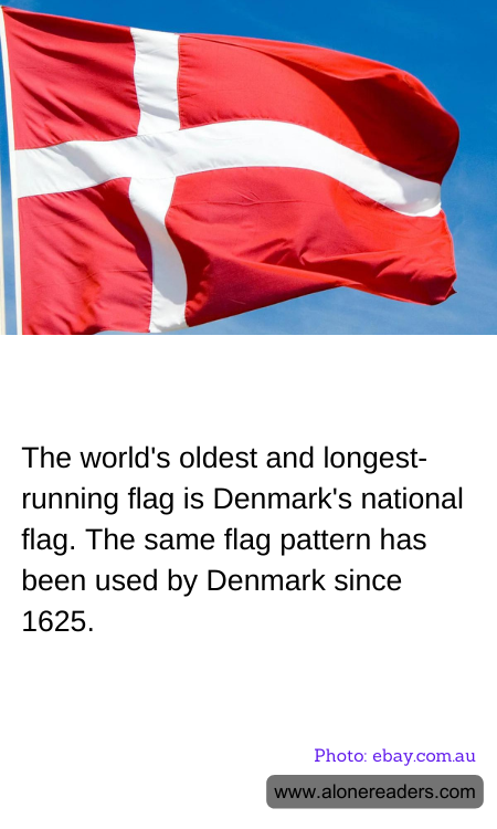 General Knowledge Learning Cards