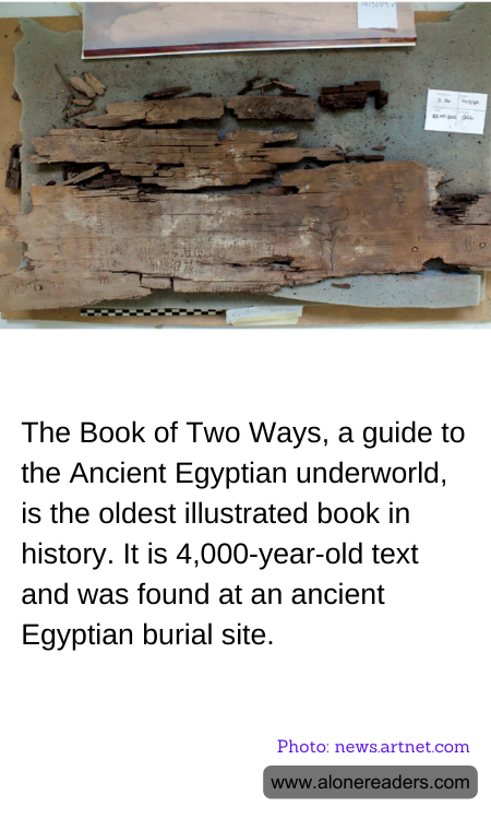 General Knowledge Learning Cards