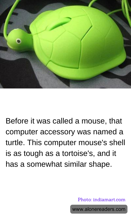 General Knowledge Learning Cards