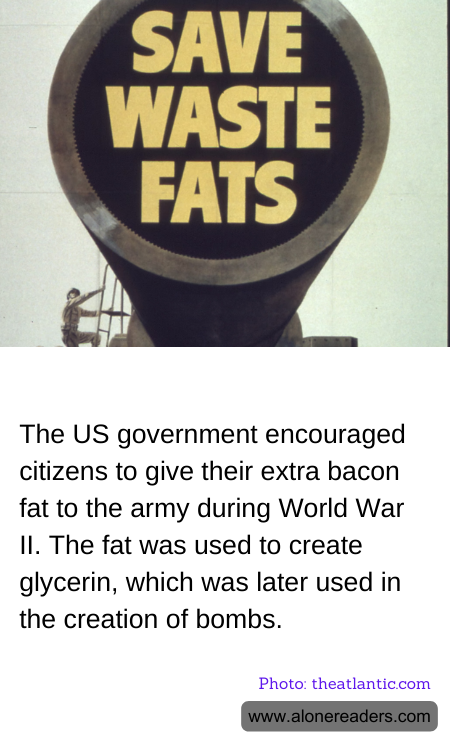 The US government encouraged citizens to give their extra bacon fat to the army during World War II. The fat was used to create glycerin, which was later used in the creation of bombs.
