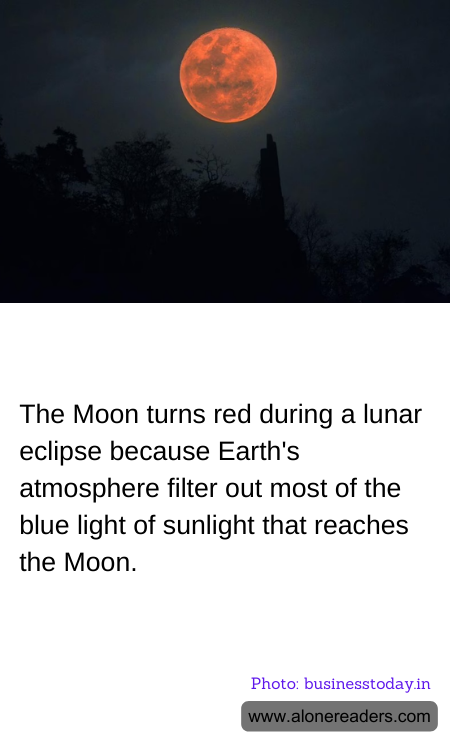 General Knowledge Learning Cards