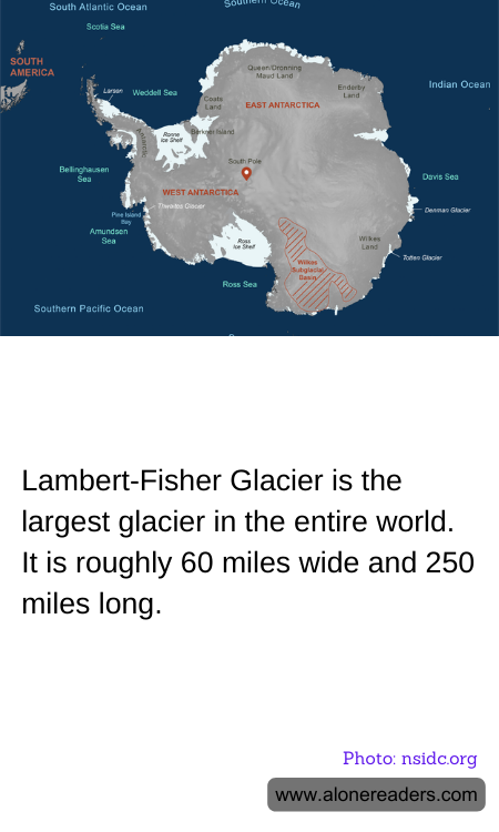 General Knowledge Learning Cards
