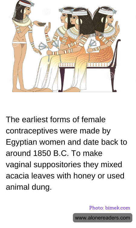 The earliest forms of female contraceptives were made by Egyptian women and date back to around 1850 B.C. To make vaginal suppositories they mixed acacia leaves with honey or used animal dung.