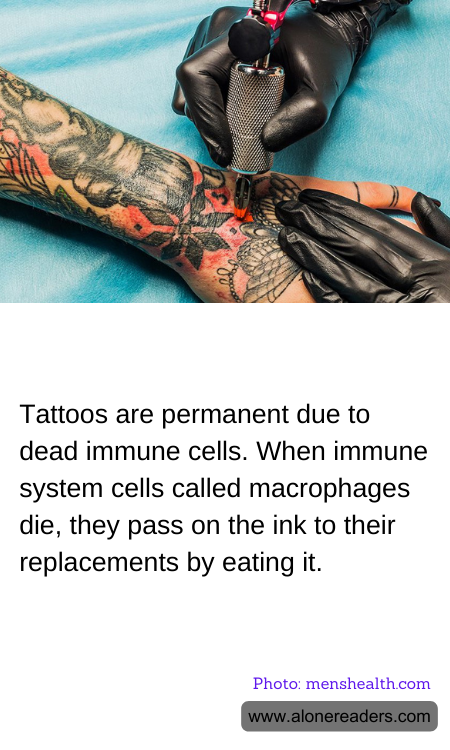 General Knowledge Learning Cards