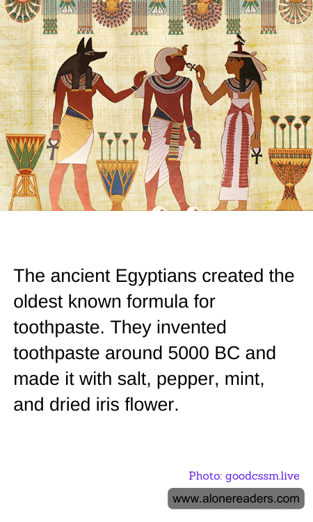 General Knowledge Learning Cards