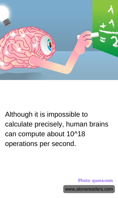Although it is impossible to calculate precisely, human brains can compute about 10^18 operations per second.