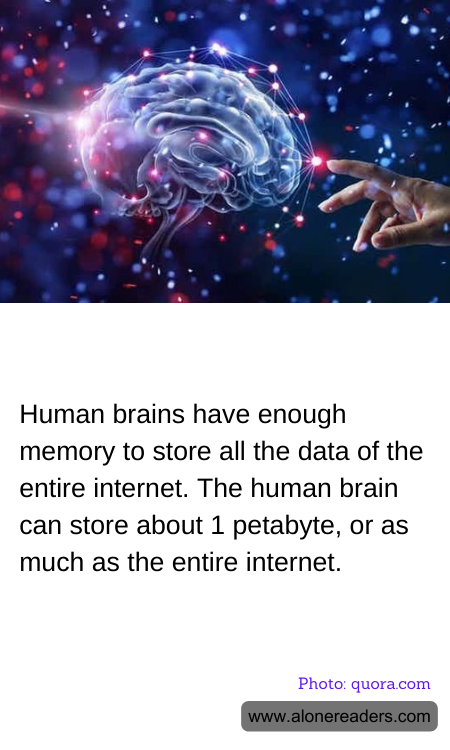 General Knowledge Learning Cards