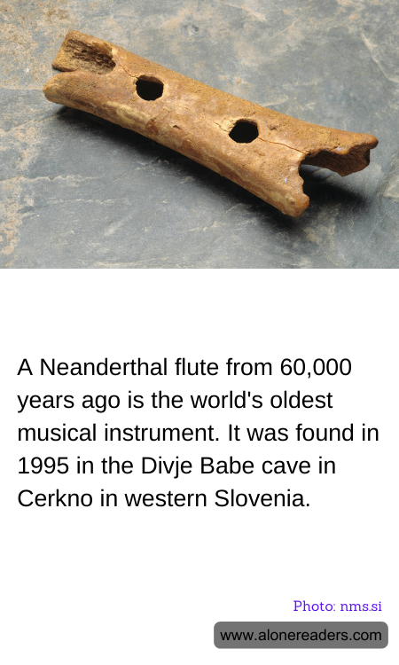 A Neanderthal flute from 60,000 years ago is the world's oldest musical instrument. It was found in 1995 in the Divje Babe cave in Cerkno in western Slovenia.