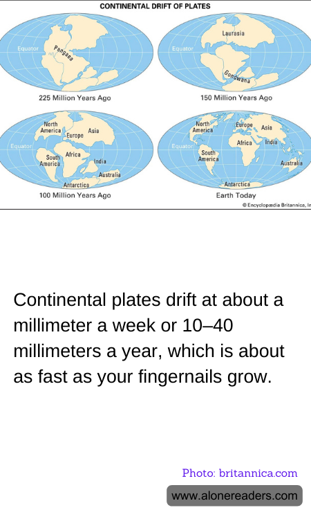 Continental plates drift at about a millimeter a week or 10–40 millimeters a year, which is about as fast as your fingernails grow.