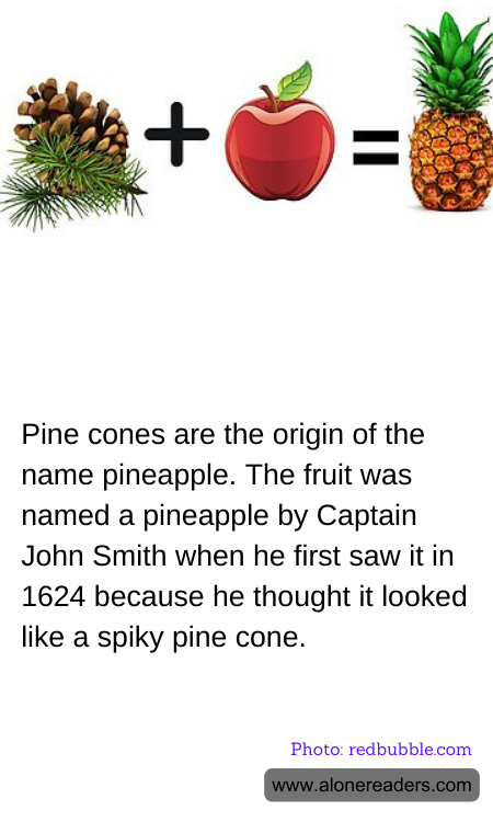 Pine cones are the origin of the name pineapple. The fruit was named a pineapple by Captain John Smith when he first saw it in 1624 because he thought it looked like a spiky pine cone.