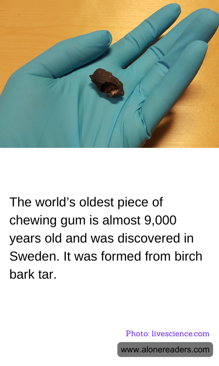 The world’s oldest piece of chewing gum is almost 9,000 years old and was discovered in Sweden. It was formed from birch bark tar.