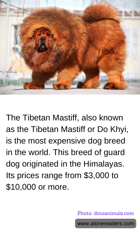 General Knowledge Learning Cards