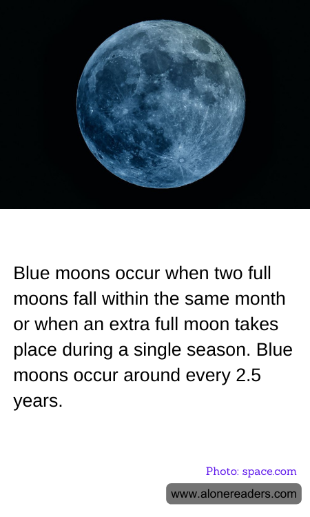 General Knowledge Learning Cards