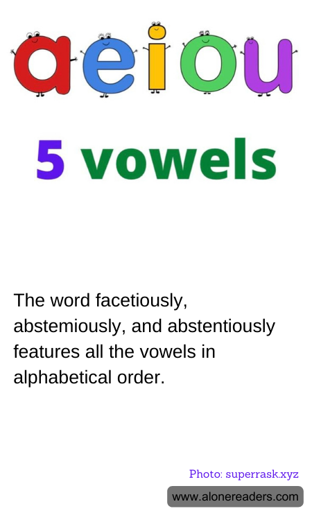 General Knowledge Learning Cards