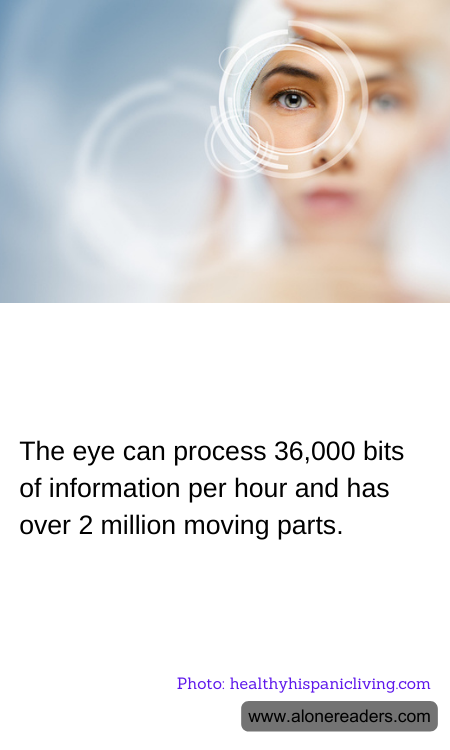 General Knowledge Learning Cards