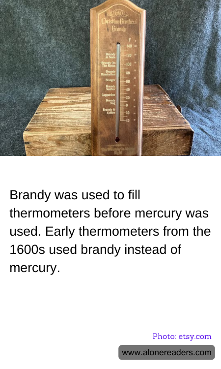 General Knowledge Learning Cards