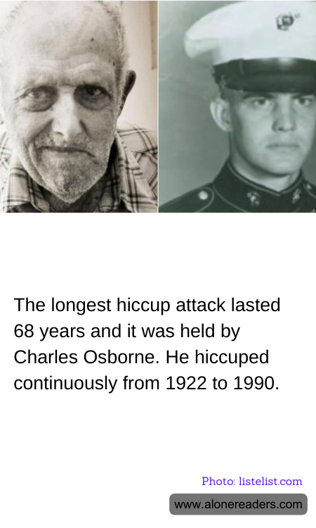 General Knowledge Learning Cards