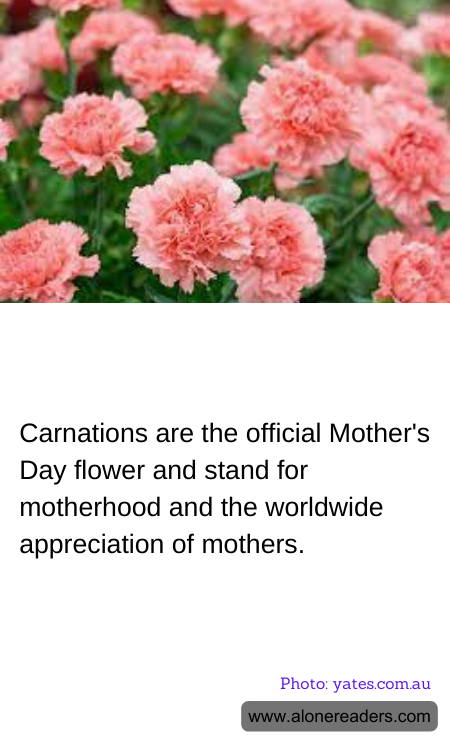 General Knowledge Learning Cards