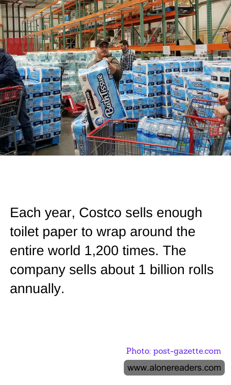 General Knowledge Learning Cards