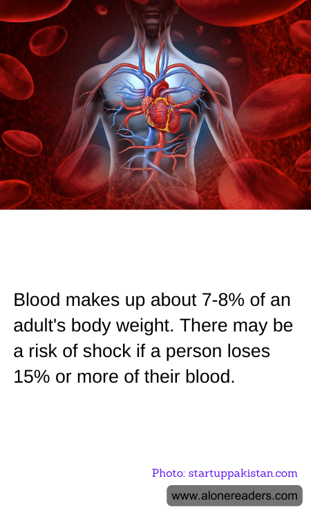 General Knowledge Learning Cards
