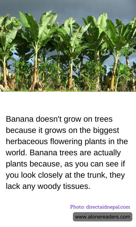 General Knowledge Learning Cards