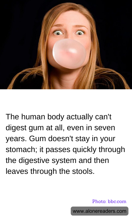 General Knowledge Learning Cards