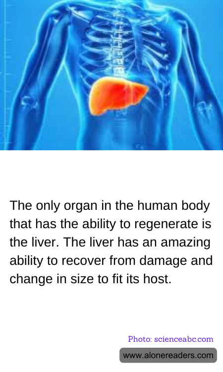 General Knowledge Learning Cards