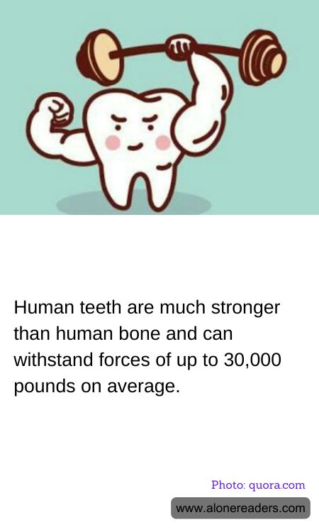 General Knowledge Learning Cards