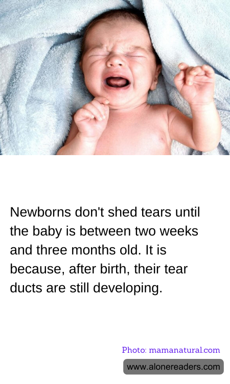 General Knowledge Learning Cards