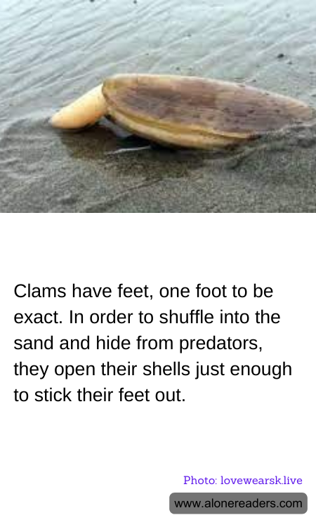 General Knowledge Learning Cards