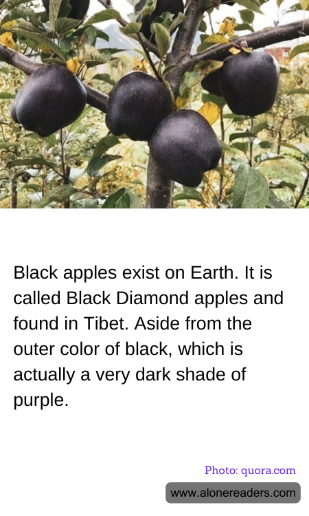 General Knowledge Learning Cards