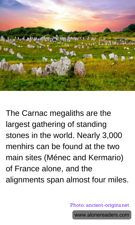 General Knowledge Learning Cards