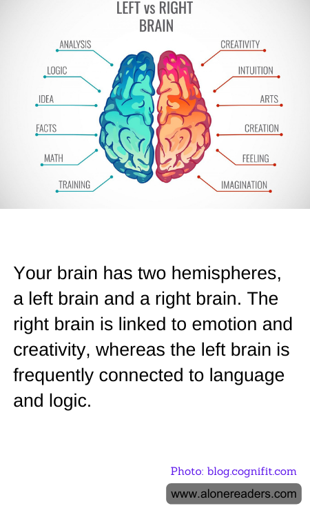 General Knowledge Learning Cards
