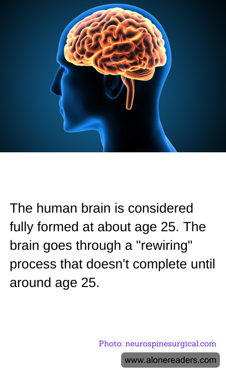 The human brain is considered fully formed at about age 25. The brain goes through a "rewiring" process that doesn't complete until around age 25.