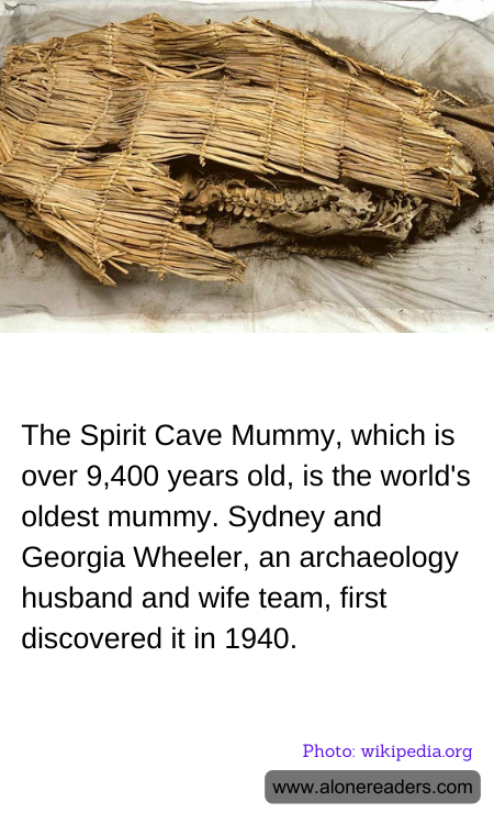 General Knowledge Learning Cards