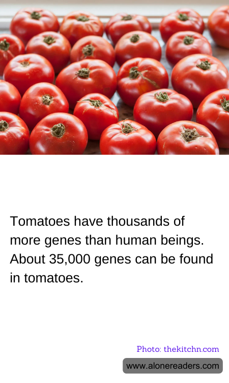 General Knowledge Learning Cards