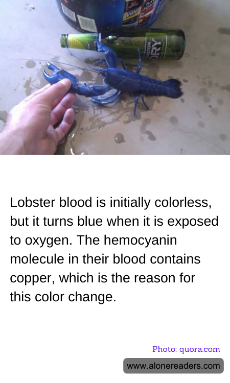 General Knowledge Learning Cards