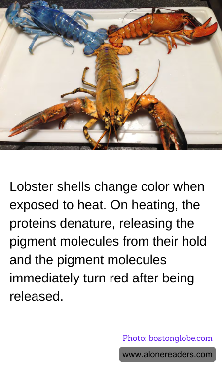 General Knowledge Learning Cards