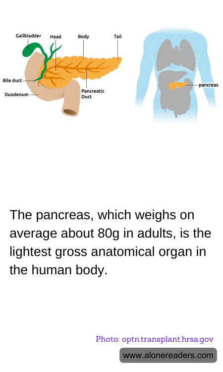 General Knowledge Learning Cards
