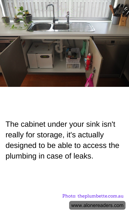 The cabinet under your sink isn't really for storage, it's actually designed to be able to access the plumbing in case of leaks.