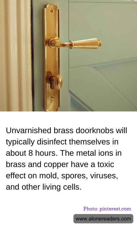 Unvarnished brass doorknobs will typically disinfect themselves in about 8 hours. The metal ions in brass and copper have a toxic effect on mold, spores, viruses, and other living cells.