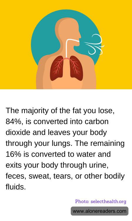 General Knowledge Learning Cards