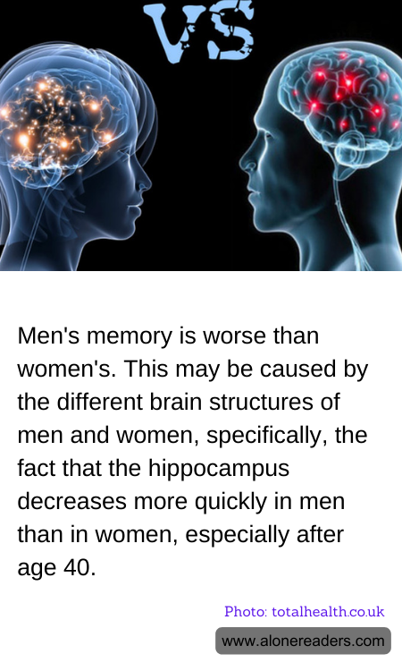 General Knowledge Learning Cards