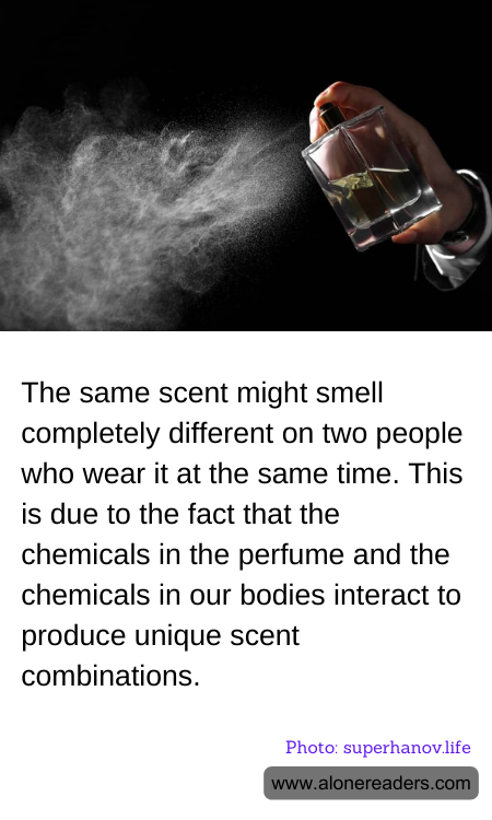 General Knowledge Learning Cards