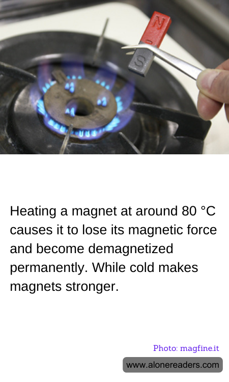 General Knowledge Learning Cards