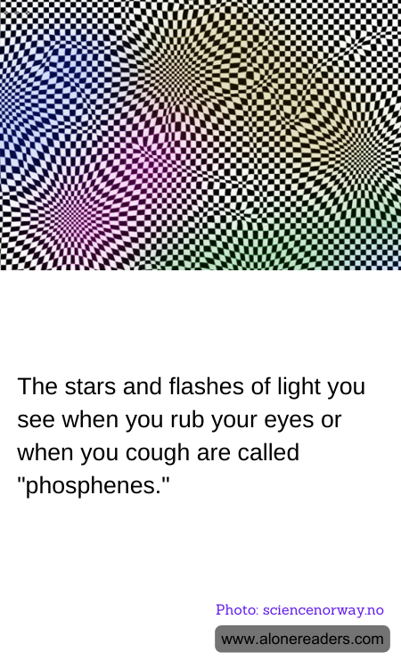 General Knowledge Learning Cards