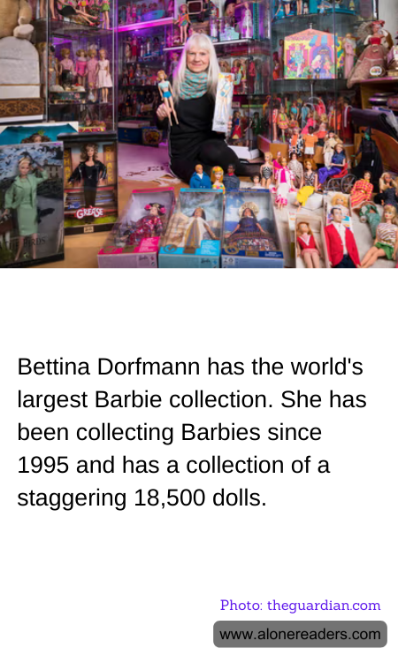 General Knowledge Learning Cards