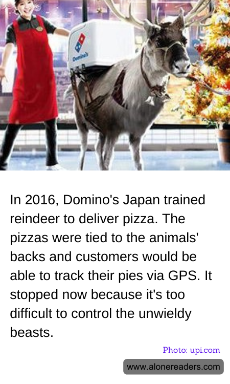 General Knowledge Learning Cards