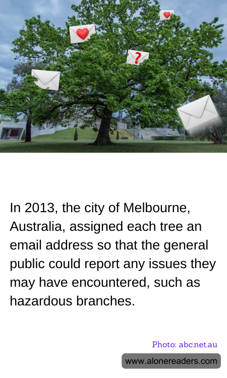 General Knowledge Learning Cards