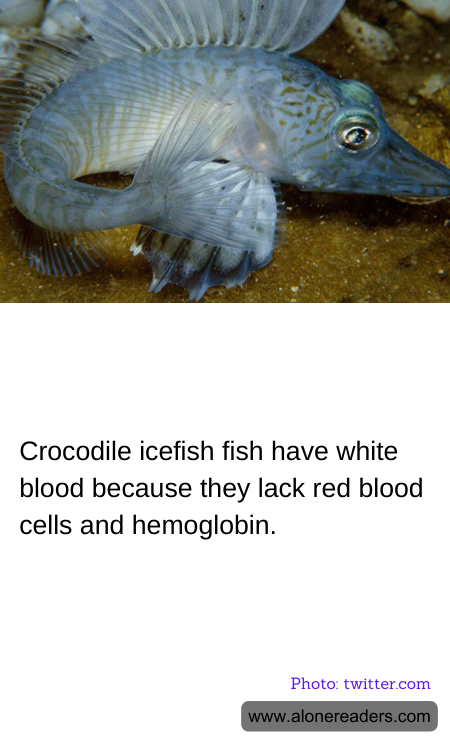 General Knowledge Learning Cards